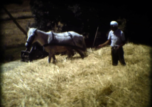 vlcsnap-2016-04-12-14h53m14s667